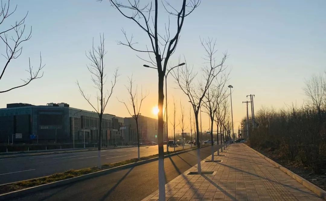 今日出门之时，夕阳如朝阳般
